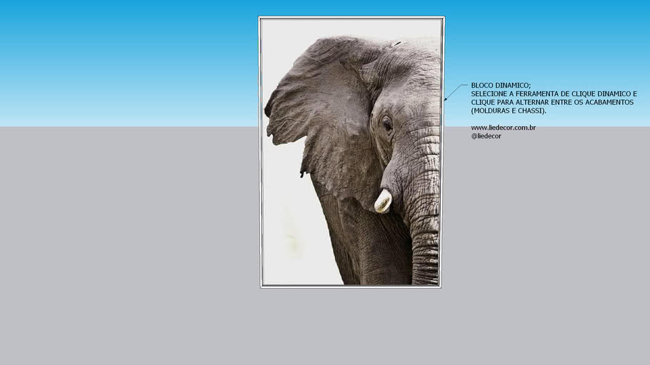 Quadro Em Tela Canvas Elefante Frontal D Warehouse