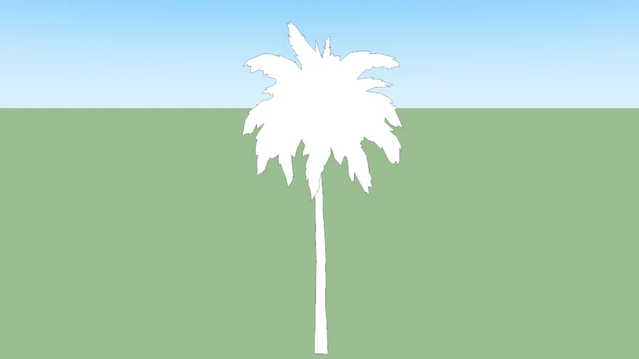 Palm Tree