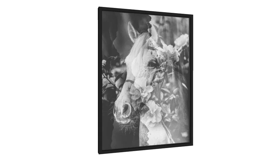 Quadro Spring horse 03 - Galeria9, por TASStudio