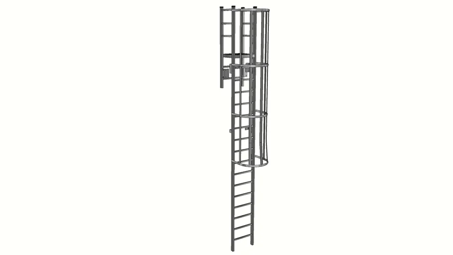 TEST 533 Cage Ladder | 3D Warehouse