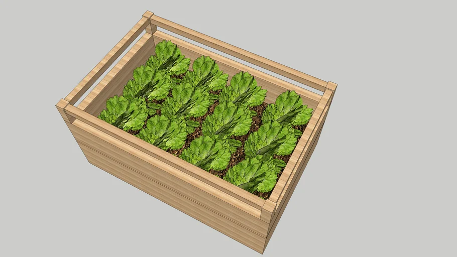 THÙNG GỖ TRỒNG RAU | 3D Warehouse