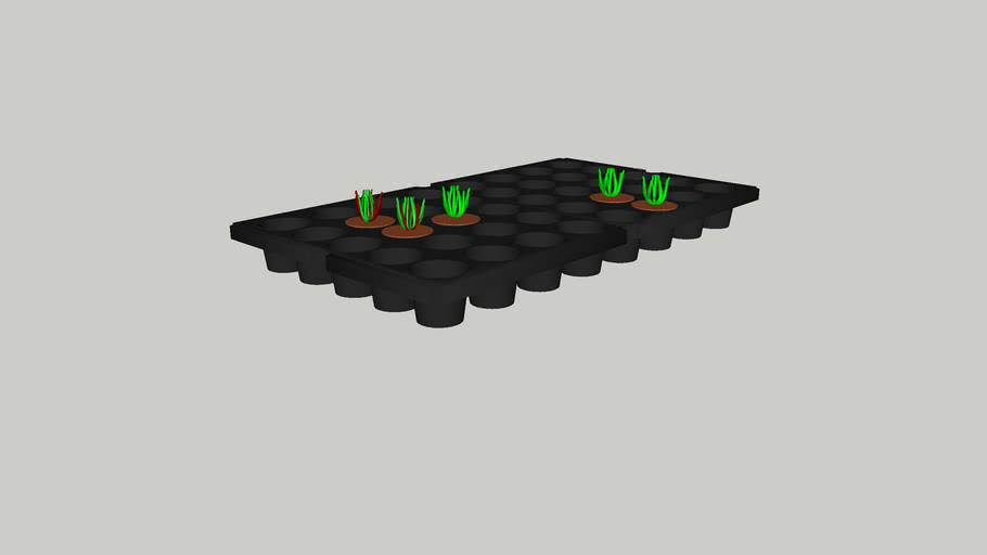 Seedlings tray 3D Warehouse