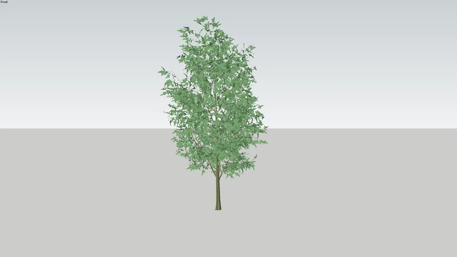 Tree (7 meters) | 3D Warehouse