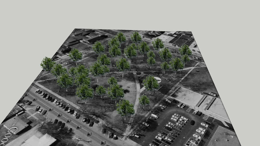 Henderson Ky - Trees  3D Warehouse