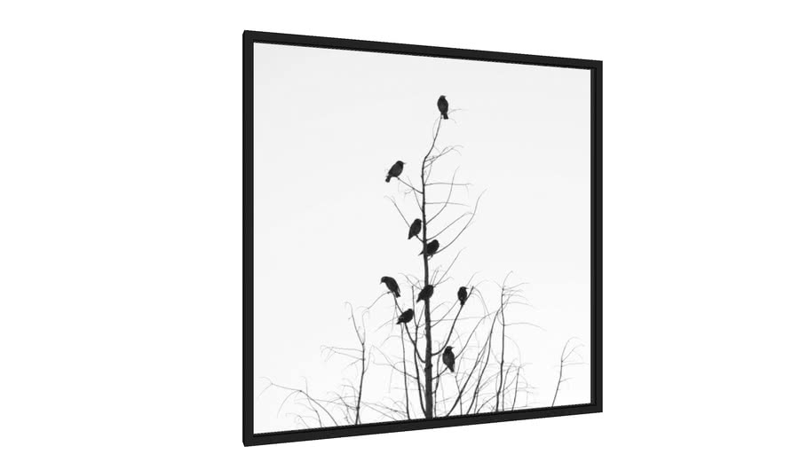 Quadro BIRDS AND TREE - Galeria9, por ERICA SATIE DANTAS KOGISO
