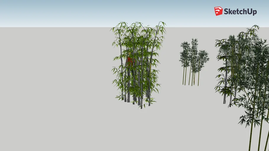 Bamboo cluster