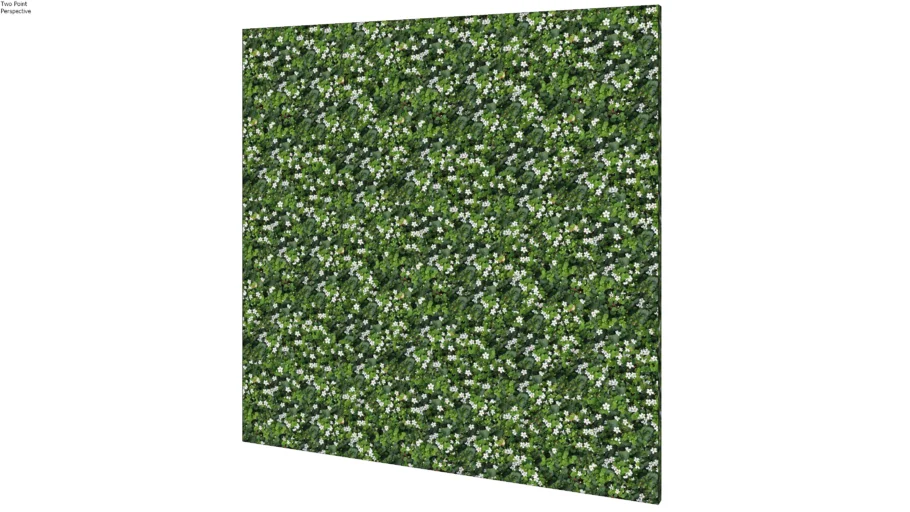 GREEN WALL