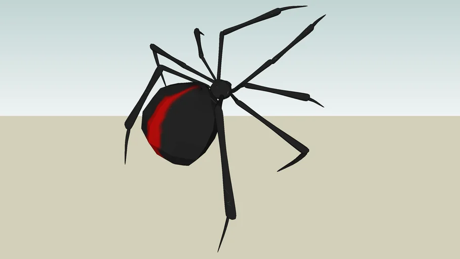 Red back widow spider (ARAÑA)