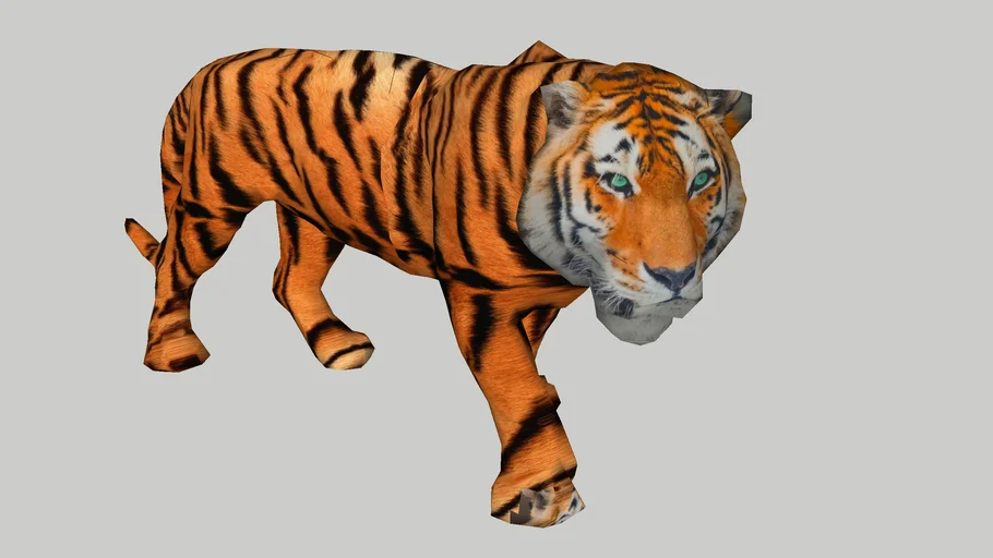 tigre - - 3D Warehouse