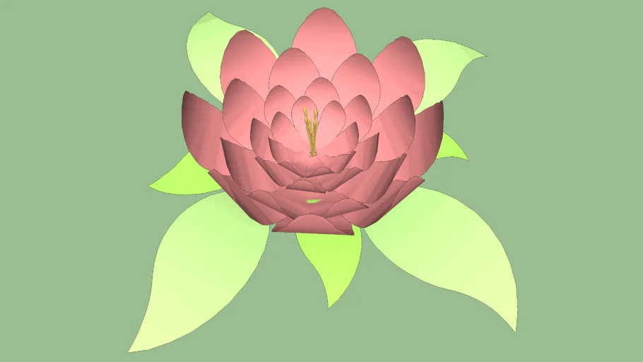 Lotus Flower