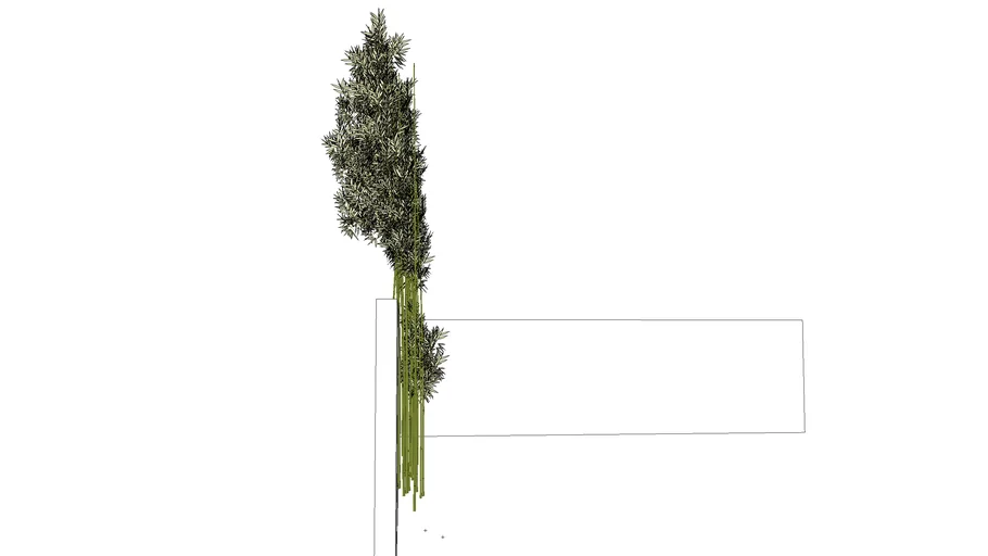 Bamboo Cluster (editable 3D) | 3D Warehouse