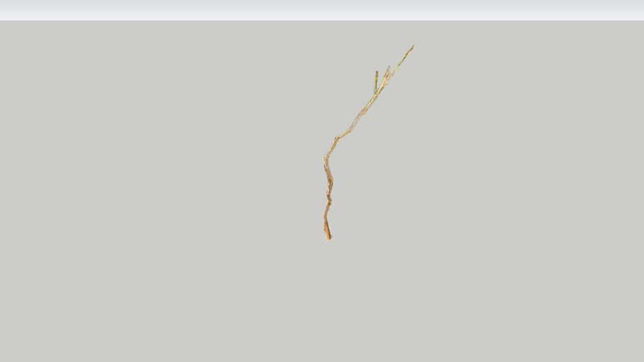 Vine Trunk 2D | 3D Warehouse