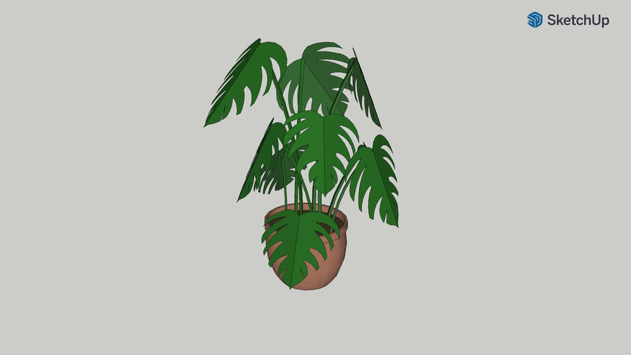 Растение 6