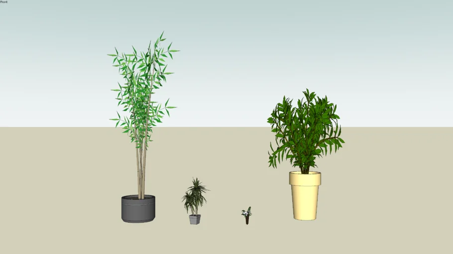 STAGE PLANTS