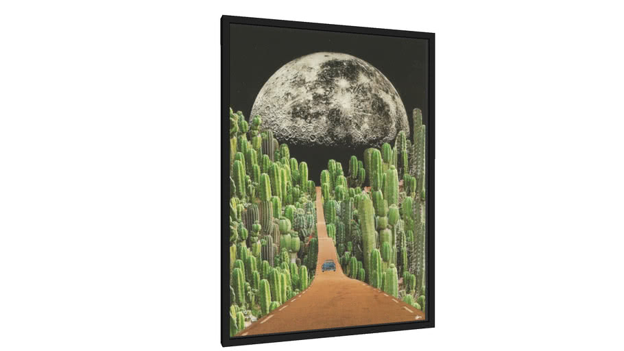 Quadro Estrada e cactus - Galeria9, por Beatriz Meneses