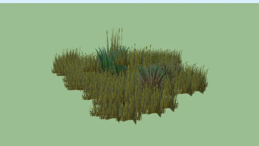 grass field