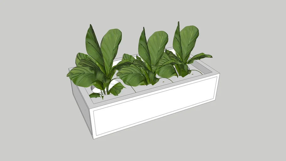 Desktop planter & trough