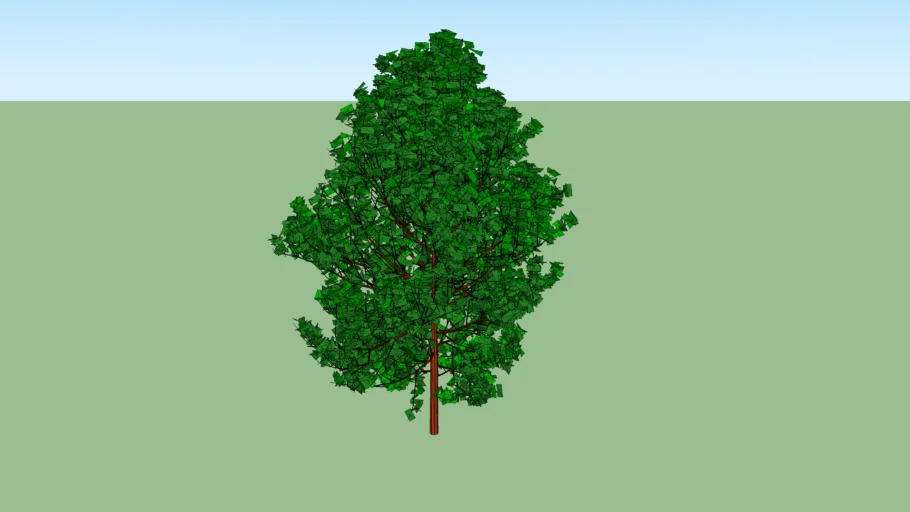 3D tree