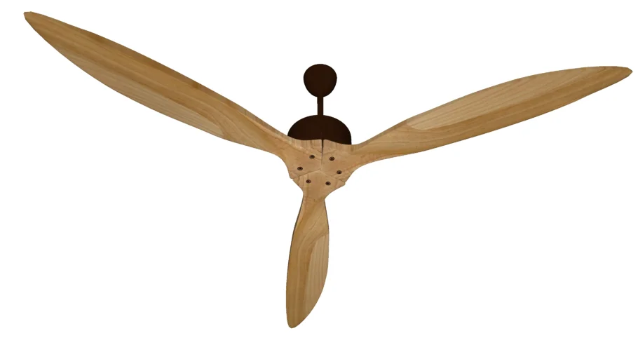 Ceiling Fan