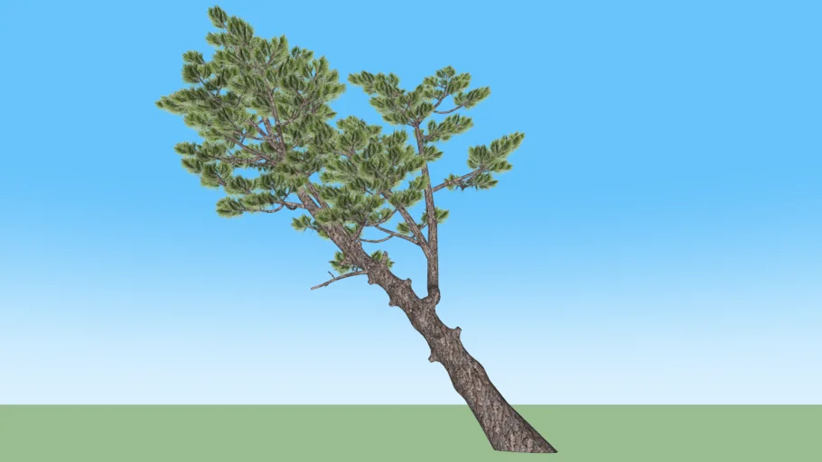 Pine tree | 3D Warehouse