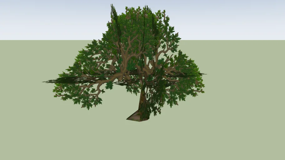 tree