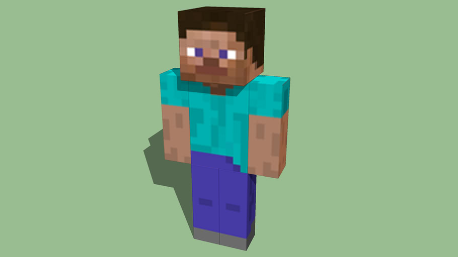 Steve (the minecraft guy)
