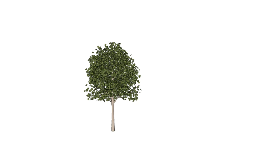 tree23