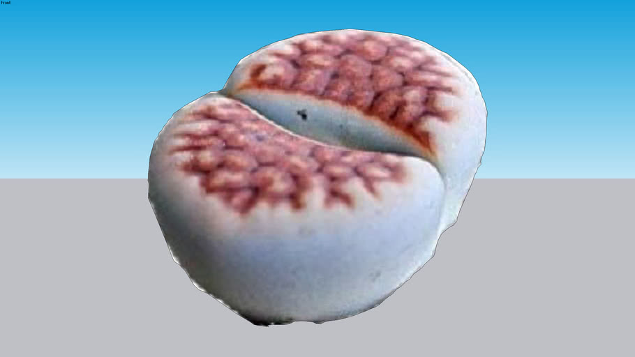 Rock Plant 3D Warehouse