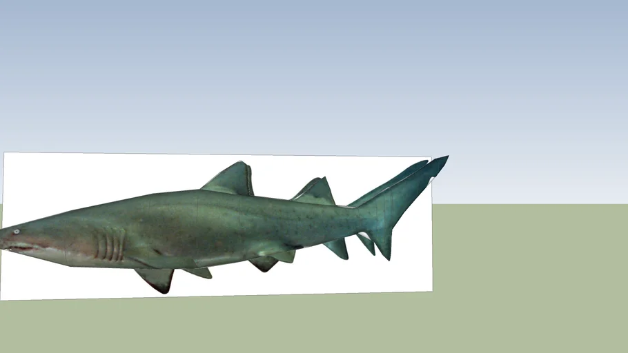 Shark (WIP) April 5th Update
