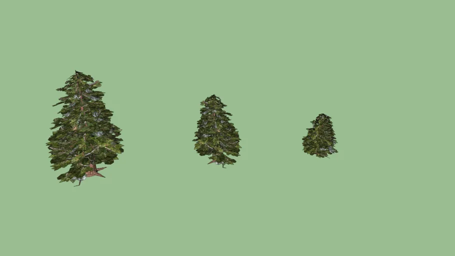 Trees