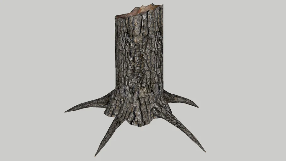 Souche2 (Tree stump)