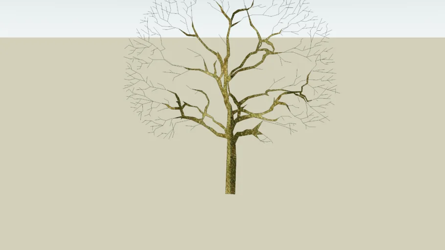 Deciduous tree 3D Warehouse