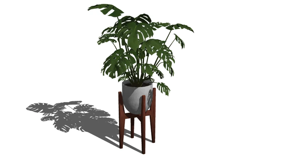 Indoor Plants 3d Warehouse