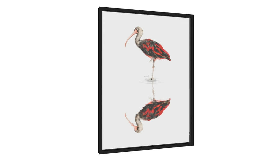 Quadro Scarlet Ibis II - Galeria9, por Marcela Picinin