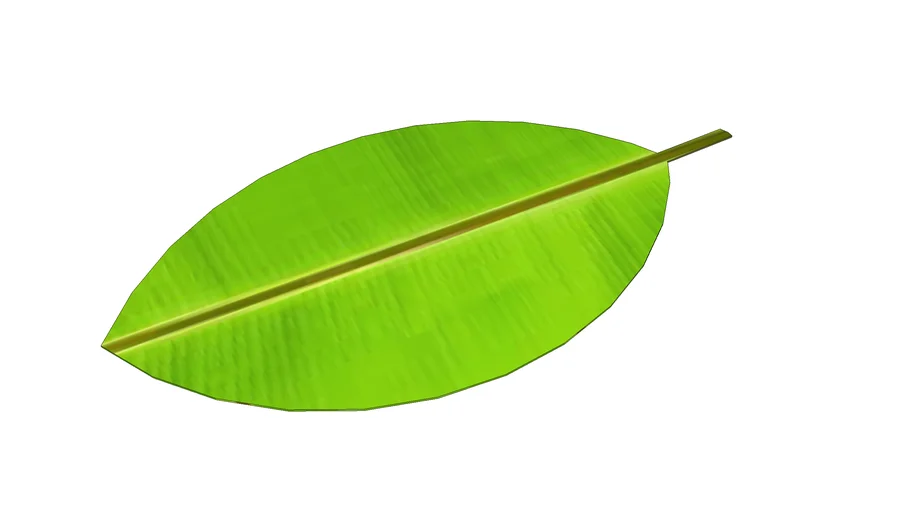 LEAF RUG | 3D Warehouse