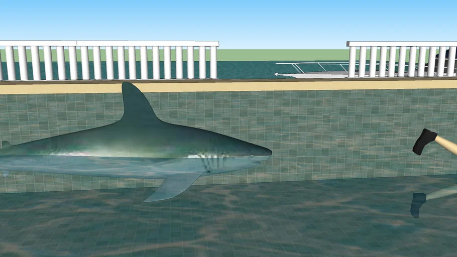 Shark Attack 3D