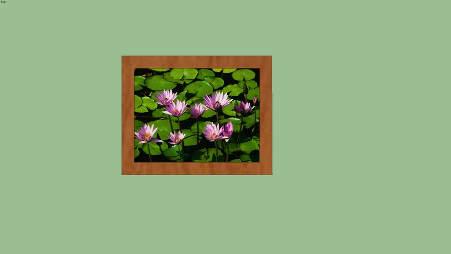 Nature Picture Frame