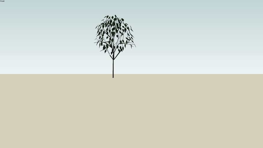 single tree
