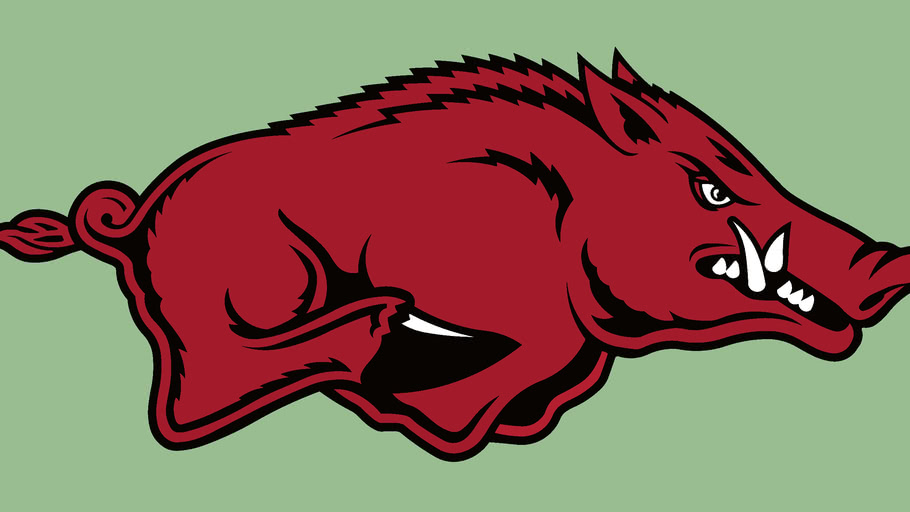 Arkansas Razorbacks Logo | 3D Warehouse