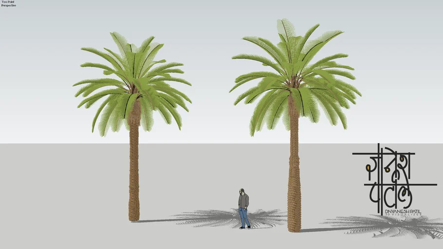 palm tree#3d tree#