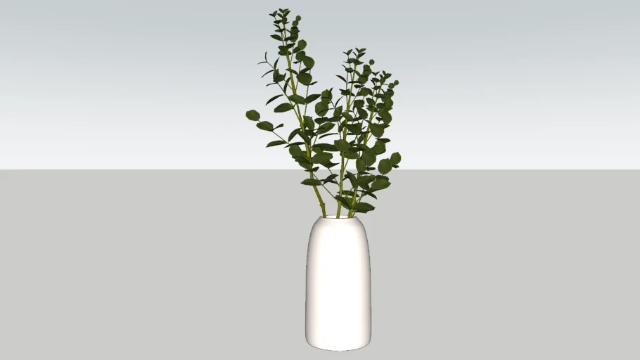 Ceramic Vase with Plant / Eucalyptus