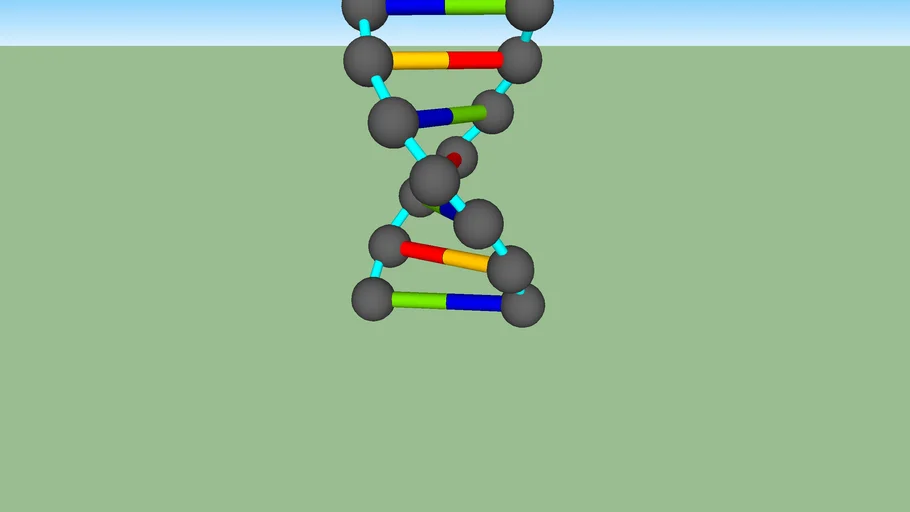 ((deoxyribosephosphate)2adenosineguanine)13thyaminecytosine)12) acid