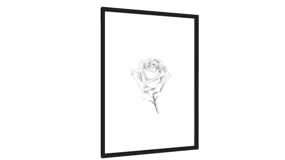 Quadro Rose - Galeria9, por Raphael Coco