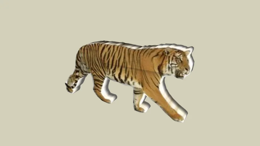 tiger