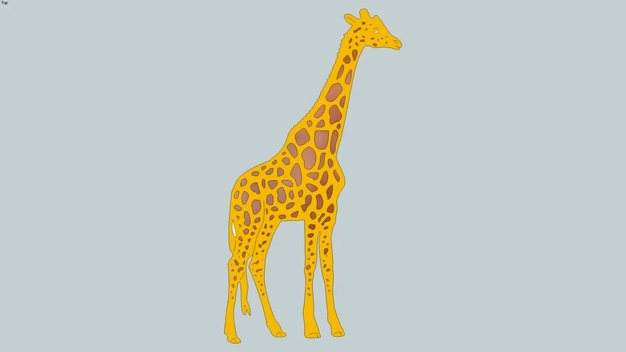 Girafa 2b