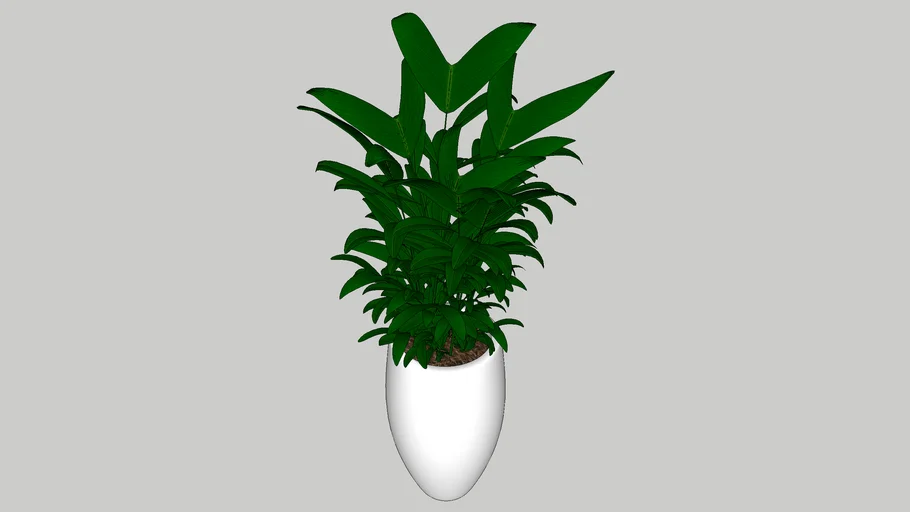 POTS PLANT (20).skp | 3D Warehouse