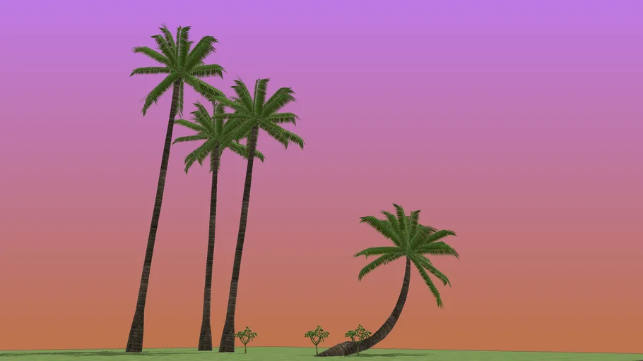 Palm Tree