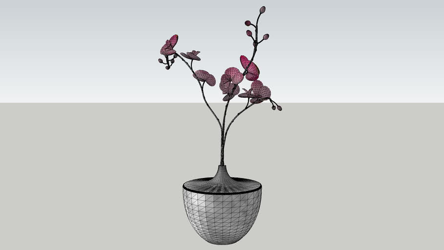 Vase 3d Warehouse 