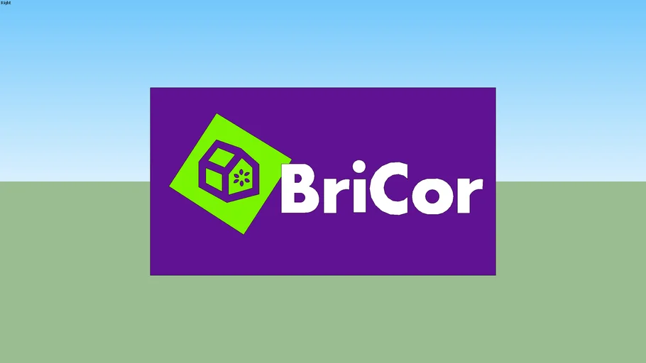 Logo BriCor