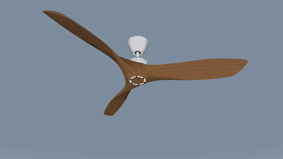 Ceiling fan